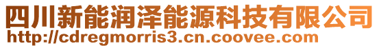 四川新能潤澤能源科技有限公司