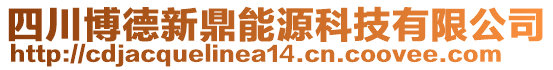 四川博德新鼎能源科技有限公司