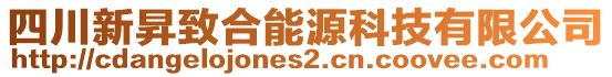 四川新昇致合能源科技有限公司