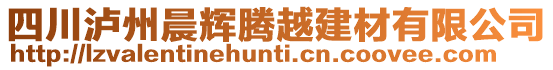 四川瀘州晨輝騰越建材有限公司