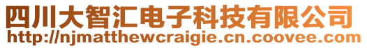 四川大智匯電子科技有限公司