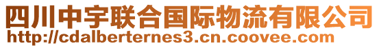 四川中宇聯合國際物流有限公司