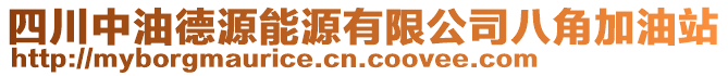 四川中油德源能源有限公司八角加油站