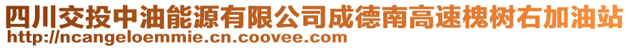 四川交投中油能源有限公司成德南高速槐樹右加油站