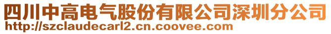 四川中高電氣股份有限公司深圳分公司