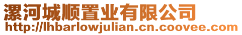 漯河城順置業(yè)有限公司