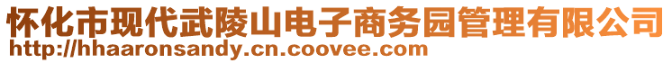 懷化市現(xiàn)代武陵山電子商務(wù)園管理有限公司