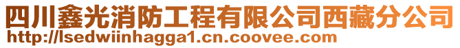 四川鑫光消防工程有限公司西藏分公司