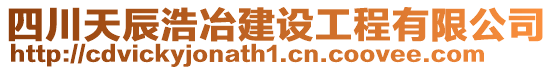 四川天辰浩冶建設(shè)工程有限公司