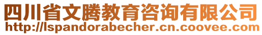 四川省文騰教育咨詢有限公司