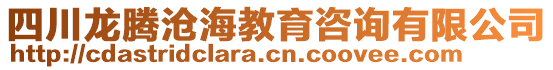 四川龍騰滄海教育咨詢有限公司