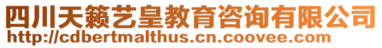 四川天籟藝皇教育咨詢有限公司