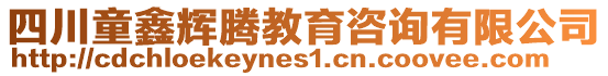 四川童鑫輝騰教育咨詢有限公司