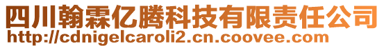 四川翰霖億騰科技有限責(zé)任公司