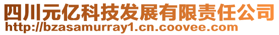 四川元億科技發(fā)展有限責(zé)任公司