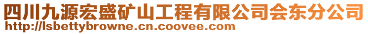 四川九源宏盛礦山工程有限公司會(huì)東分公司