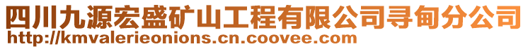 四川九源宏盛礦山工程有限公司尋甸分公司