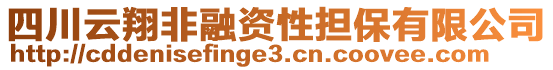 四川云翔非融資性擔(dān)保有限公司