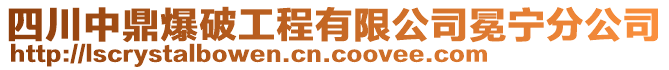 四川中鼎爆破工程有限公司冕寧分公司