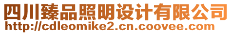 四川臻品照明設計有限公司