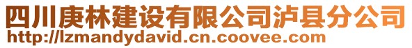 四川庚林建設有限公司瀘縣分公司