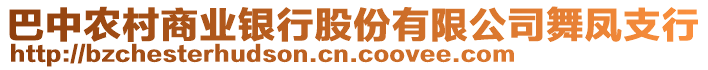 巴中農(nóng)村商業(yè)銀行股份有限公司舞鳳支行