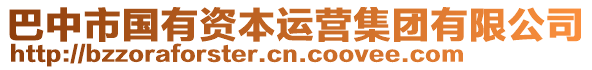 巴中市國(guó)有資本運(yùn)營(yíng)集團(tuán)有限公司