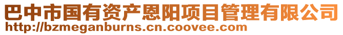 巴中市國有資產(chǎn)恩陽項目管理有限公司