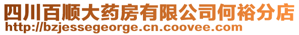 四川百順大藥房有限公司何裕分店