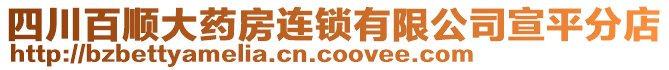 四川百順大藥房連鎖有限公司宣平分店