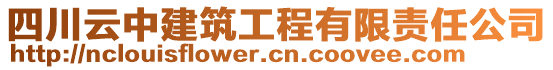 四川云中建筑工程有限責(zé)任公司