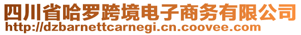 四川省哈羅跨境電子商務(wù)有限公司