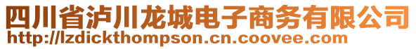 四川省瀘川龍城電子商務有限公司