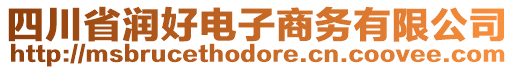 四川省潤好電子商務有限公司