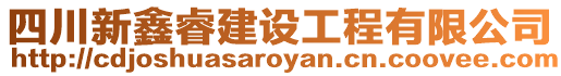 四川新鑫睿建設工程有限公司