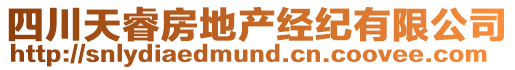 四川天睿房地產(chǎn)經(jīng)紀(jì)有限公司