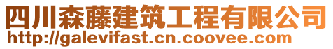 四川森藤建筑工程有限公司