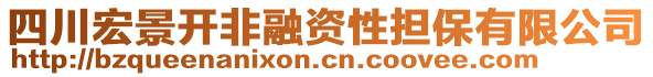 四川宏景開非融資性擔(dān)保有限公司