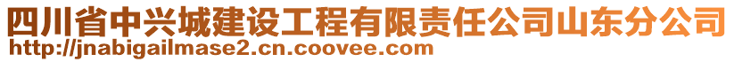 四川省中興城建設(shè)工程有限責(zé)任公司山東分公司