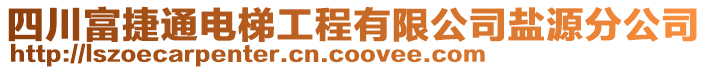 四川富捷通電梯工程有限公司鹽源分公司