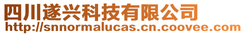 四川遂興科技有限公司