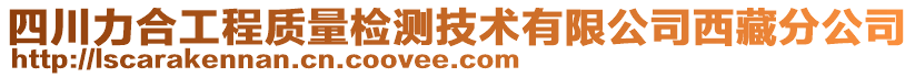 四川力合工程質(zhì)量檢測技術(shù)有限公司西藏分公司