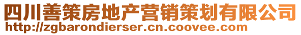 四川善策房地產(chǎn)營(yíng)銷策劃有限公司