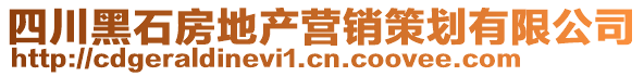 四川黑石房地產(chǎn)營(yíng)銷策劃有限公司