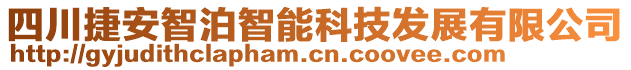 四川捷安智泊智能科技發(fā)展有限公司