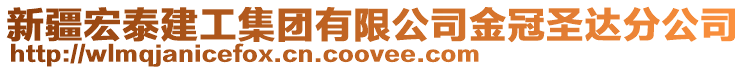 新疆宏泰建工集團(tuán)有限公司金冠圣達(dá)分公司
