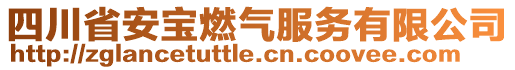 四川省安寶燃?xì)夥?wù)有限公司