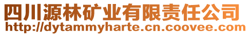 四川源林礦業(yè)有限責任公司