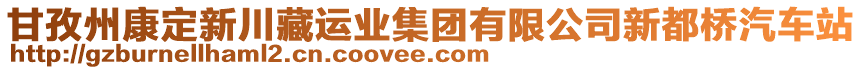 甘孜州康定新川藏運業(yè)集團有限公司新都橋汽車站