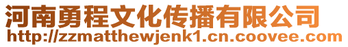 河南勇程文化傳播有限公司